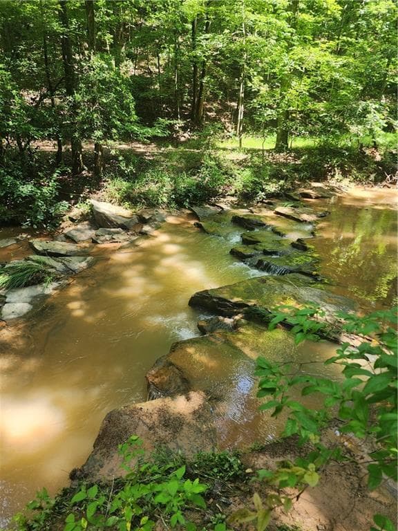 unimproved land for sale at 0 Harris Creek Drive, Ellijay, GA 30540 — photo 2
