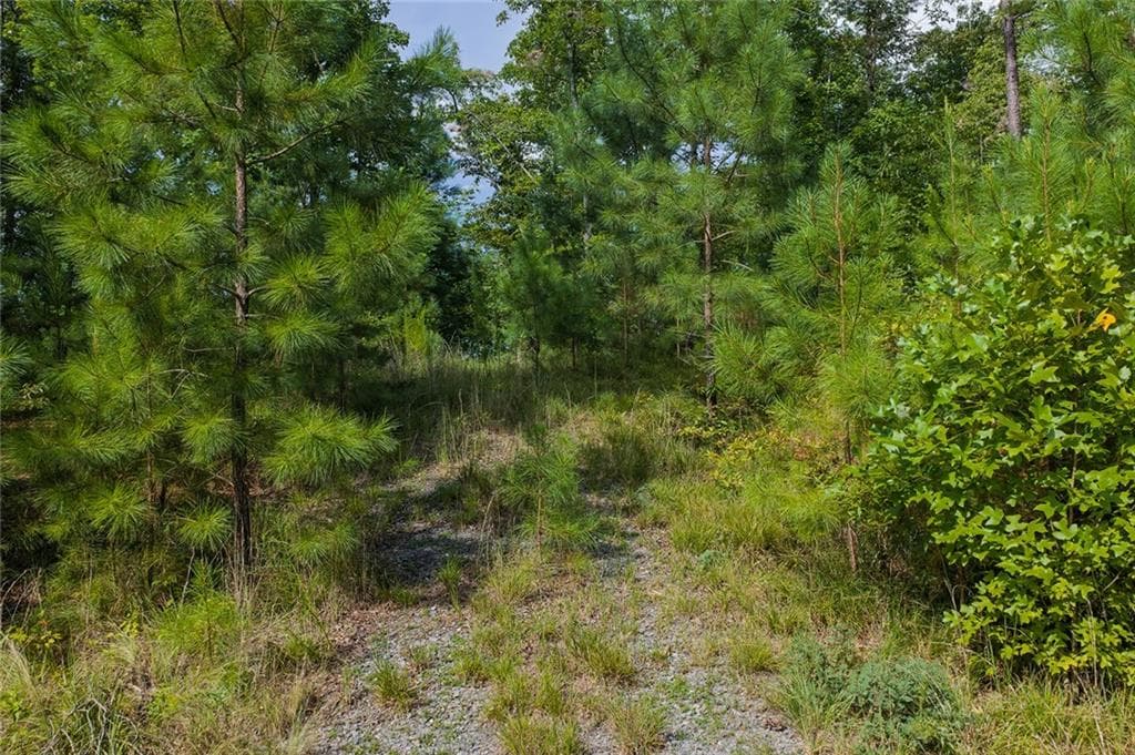 unimproved land for sale at 0 Harris Creek Drive, Ellijay, GA 30540 — photo 3