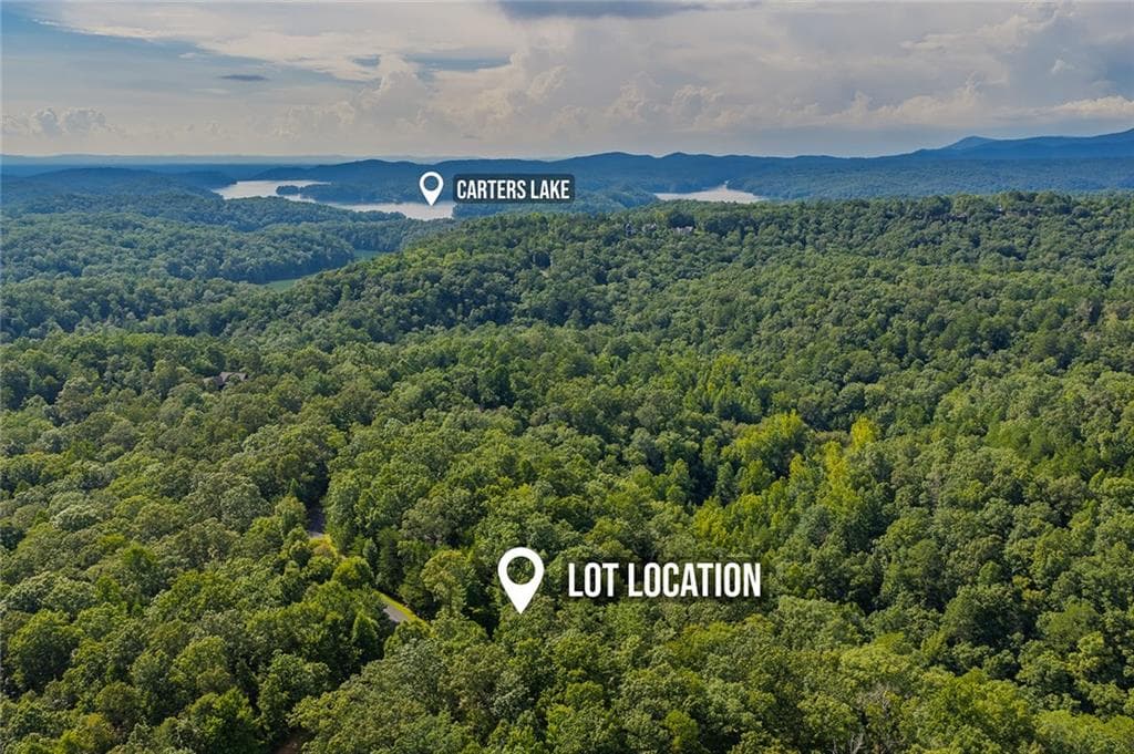 unimproved land for sale at 0 Harris Creek Drive, Ellijay, GA 30540 — photo 4