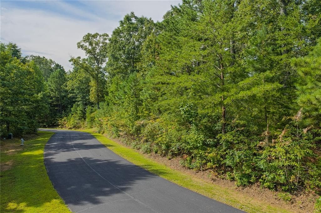 unimproved land for sale at 0 Harris Creek Drive, Ellijay, GA 30540 — photo 5