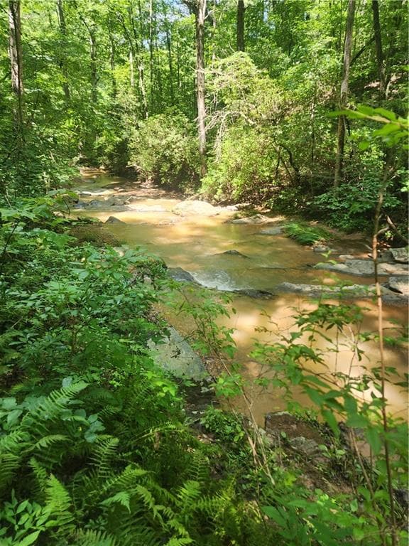 unimproved land for sale at 0 Harris Creek Drive, Ellijay, GA 30540 — photo 6