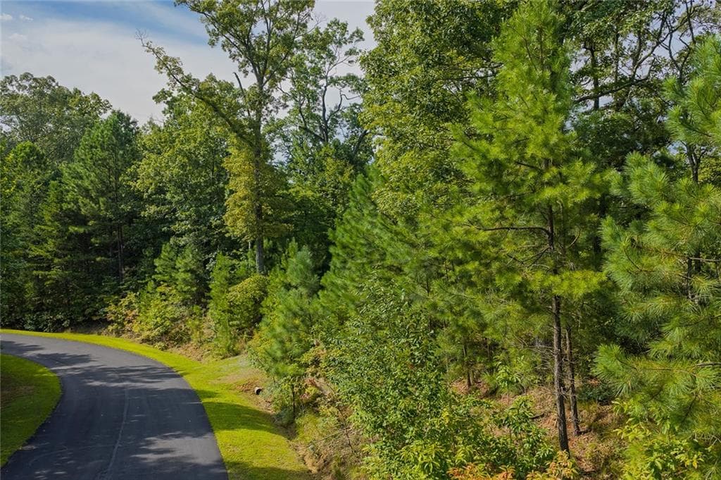 unimproved land for sale at 0 Harris Creek Drive, Ellijay, GA 30540 — photo 7