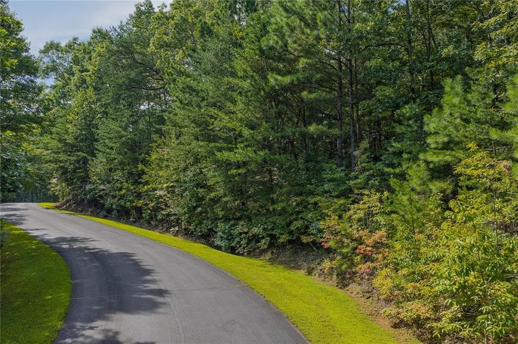 unimproved land for sale at 0 Harris Creek Drive, Ellijay, GA 30540 — photo 8