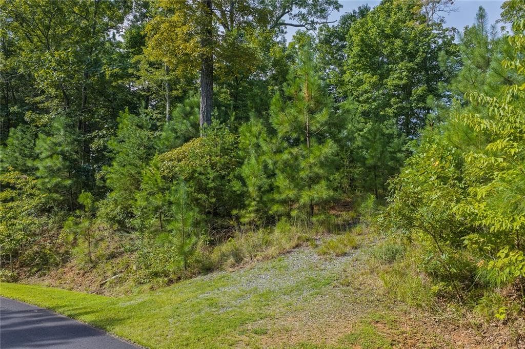 unimproved land for sale at 0 Harris Creek Drive, Ellijay, GA 30540 — photo 9