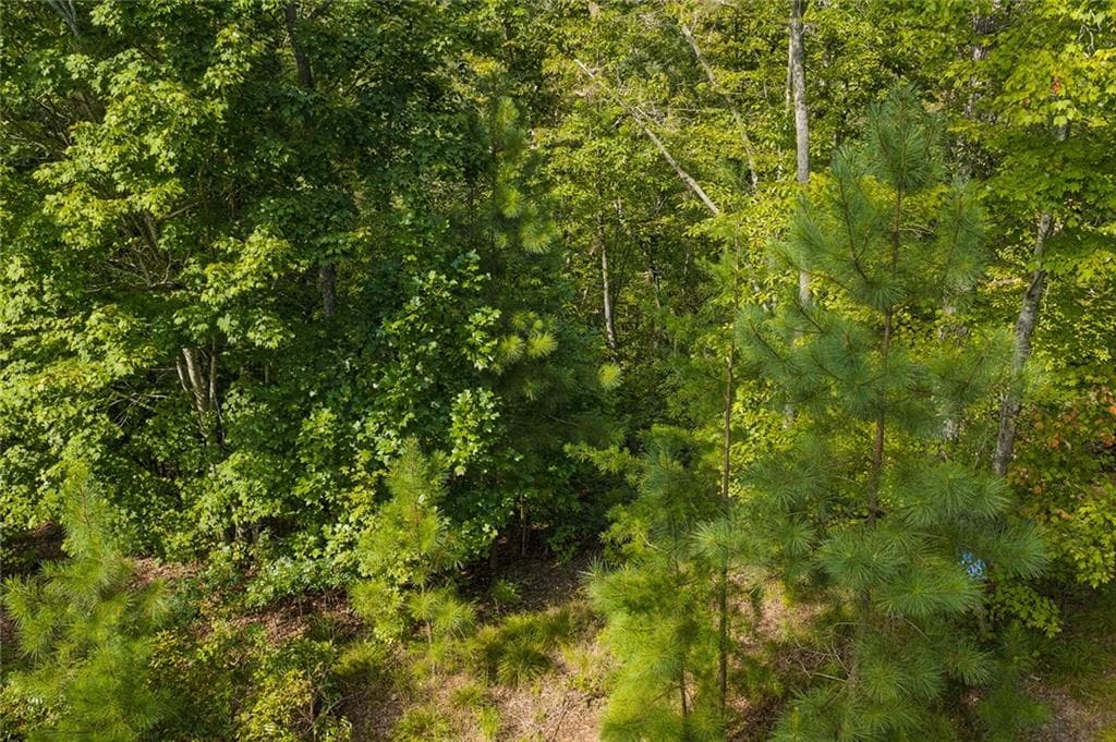 unimproved land for sale at 0 Harris Creek Drive, Ellijay, GA 30540 — photo 10