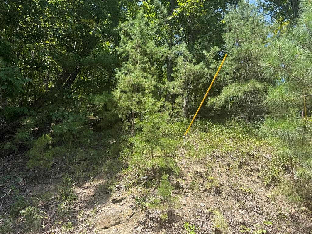 unimproved land for sale at 347 Meteor Court, Ranger, GA 30734 — photo 1 of 3