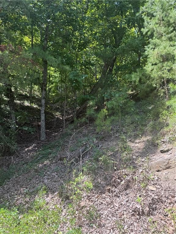 unimproved land for sale at 347 Meteor Court, Ranger, GA 30734 — photo 2