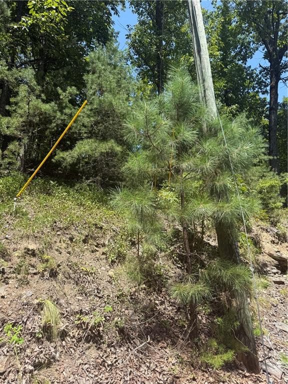 unimproved land for sale at 347 Meteor Court, Ranger, GA 30734 — photo 3