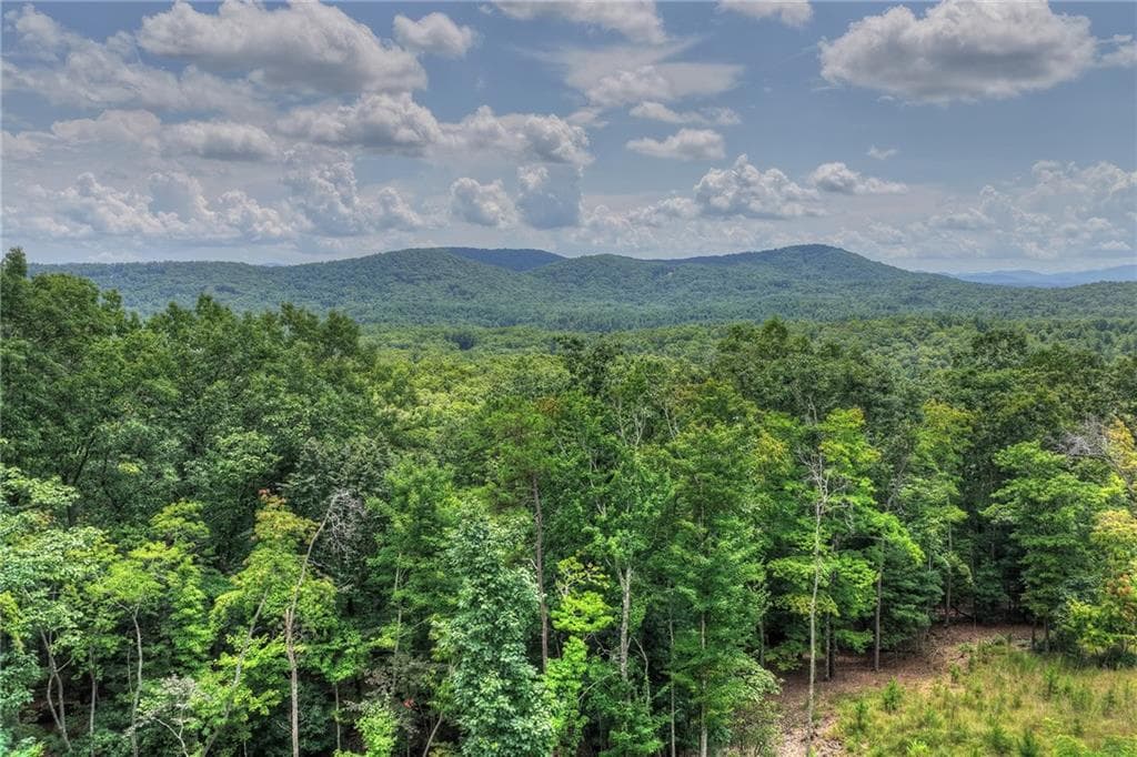 4 bedroom, 3 bathroom, 2,800 sq ft single family residence under contract at 25 Boundless Trail, Morganton, GA 30560 — photo 3