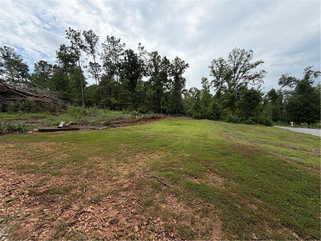 unimproved land for sale at 345 Friar Tuck Circle, Covington, GA 30014 — photo 1 of 9