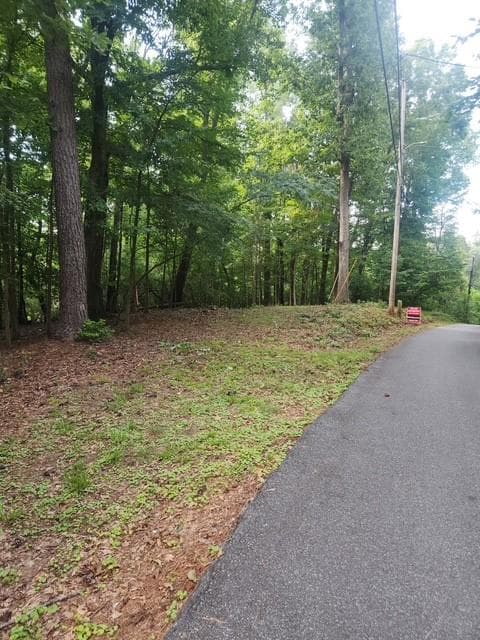 other for sale at 111 Maple Street, Roswell, GA 30075 — photo 3
