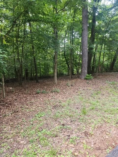 other for sale at 111 Maple Street, Roswell, GA 30075 — photo 4