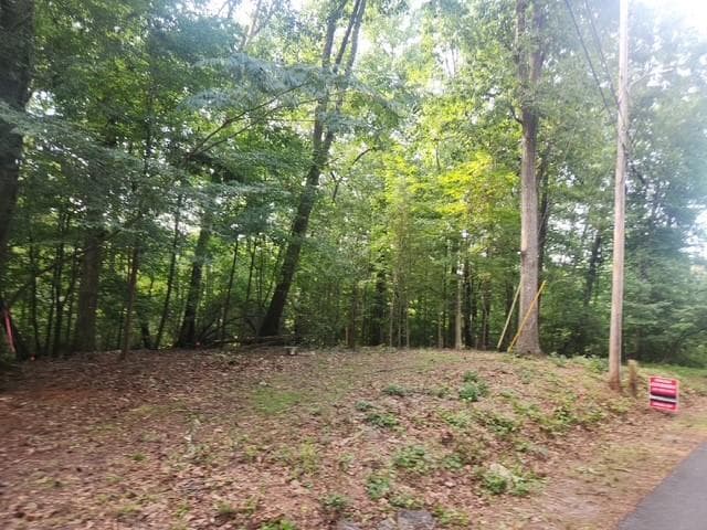 other for sale at 111 Maple Street, Roswell, GA 30075 — photo 5