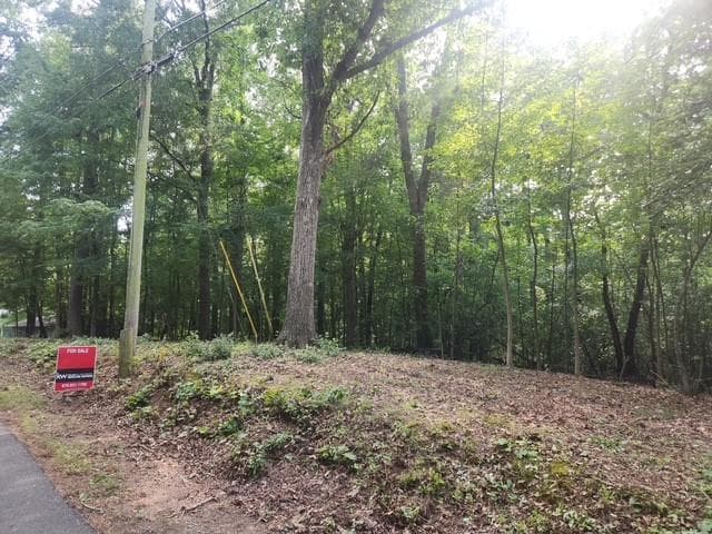 other for sale at 111 Maple Street, Roswell, GA 30075 — photo 6