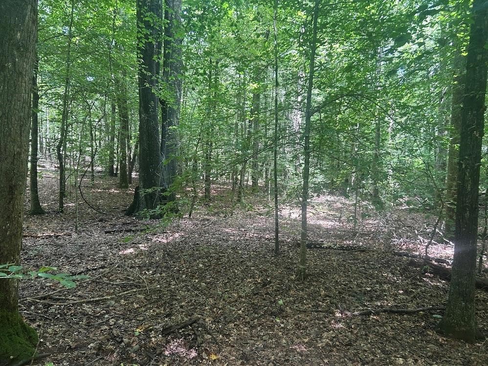 other under contract at 111 RiverSong (Tract 26), Carrollton, GA 30117