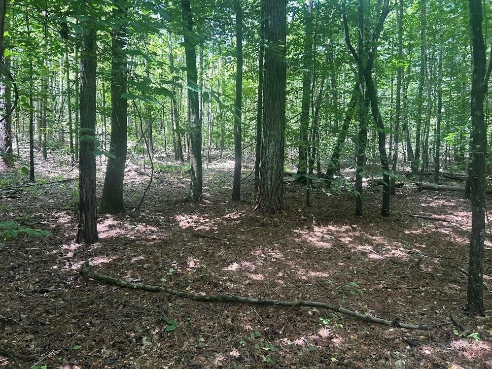 other under contract at 111 RiverSong (Tract 26), Carrollton, GA 30117 — photo 2