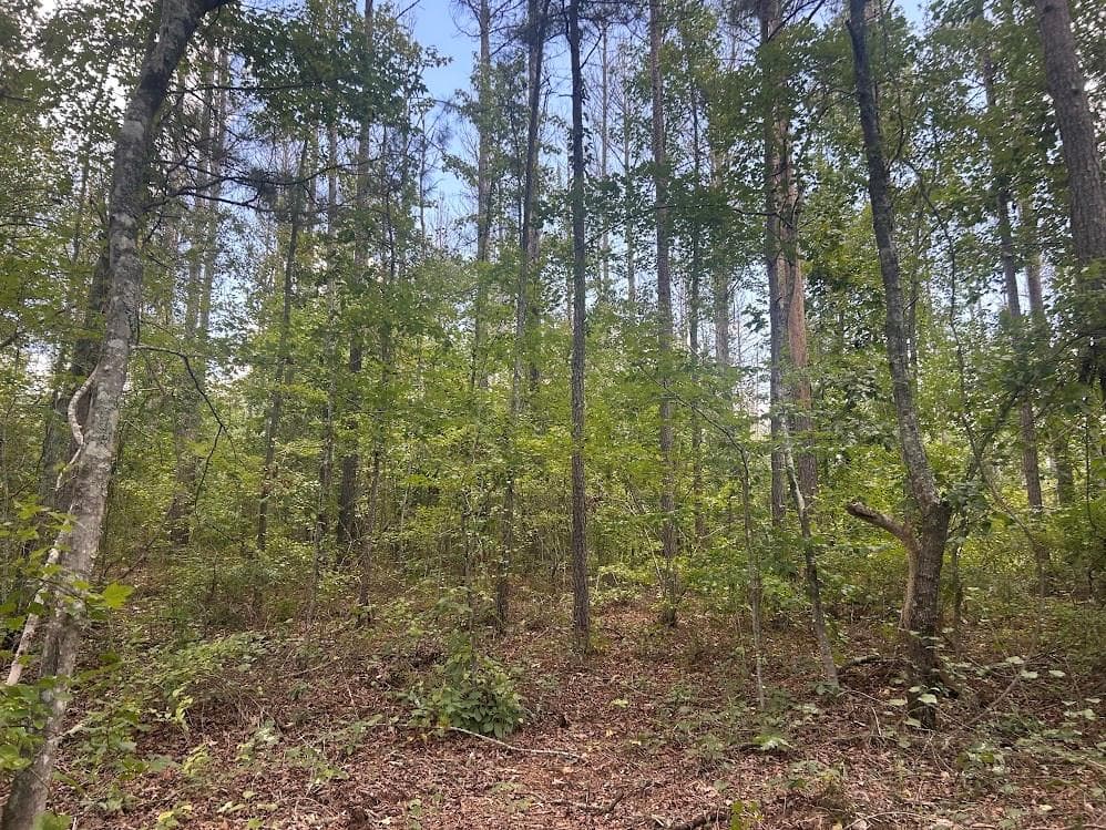 other under contract at 111 RiverSong (Tract 26), Carrollton, GA 30117 — photo 3
