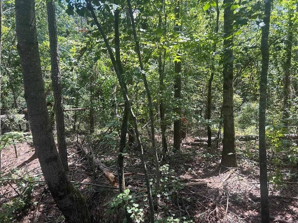 other under contract at 111 RiverSong (Tract 26), Carrollton, GA 30117 — photo 4