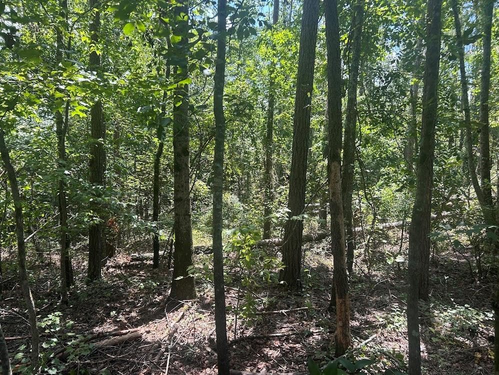 other under contract at 111 RiverSong (Tract 26), Carrollton, GA 30117 — photo 5