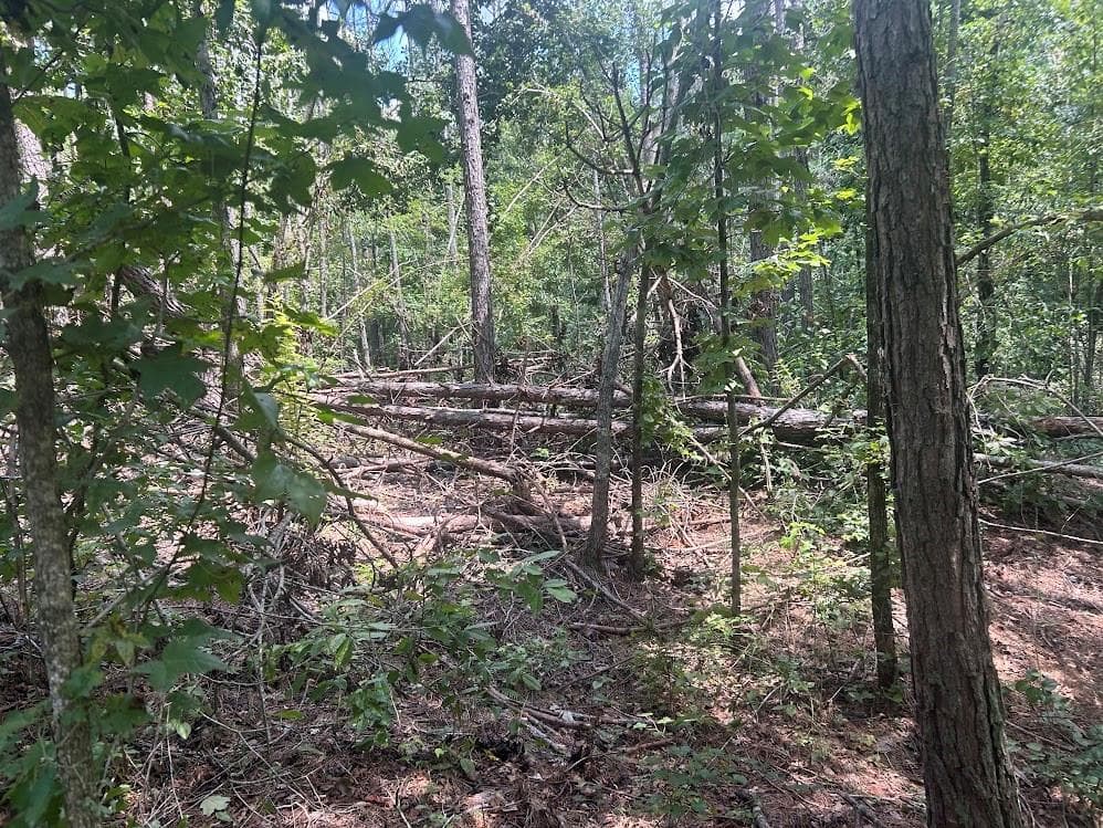 other under contract at 111 RiverSong (Tract 26), Carrollton, GA 30117 — photo 6
