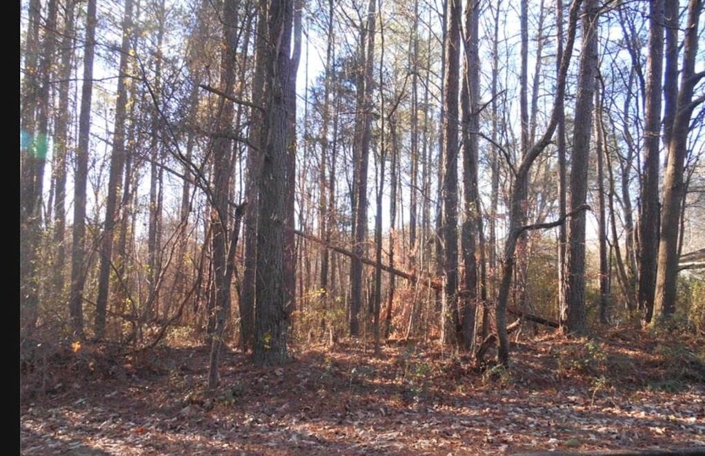 unimproved land for sale at 0 Bartlett Circle, Bowdon, GA 30108