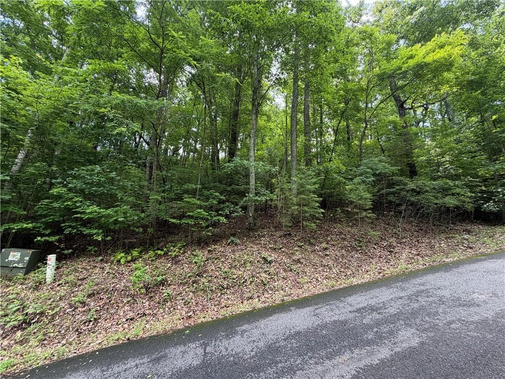 single family residence for sale at Lot 7 Mill Ridge Road, Hiawassee, GA 30546 — photo 3