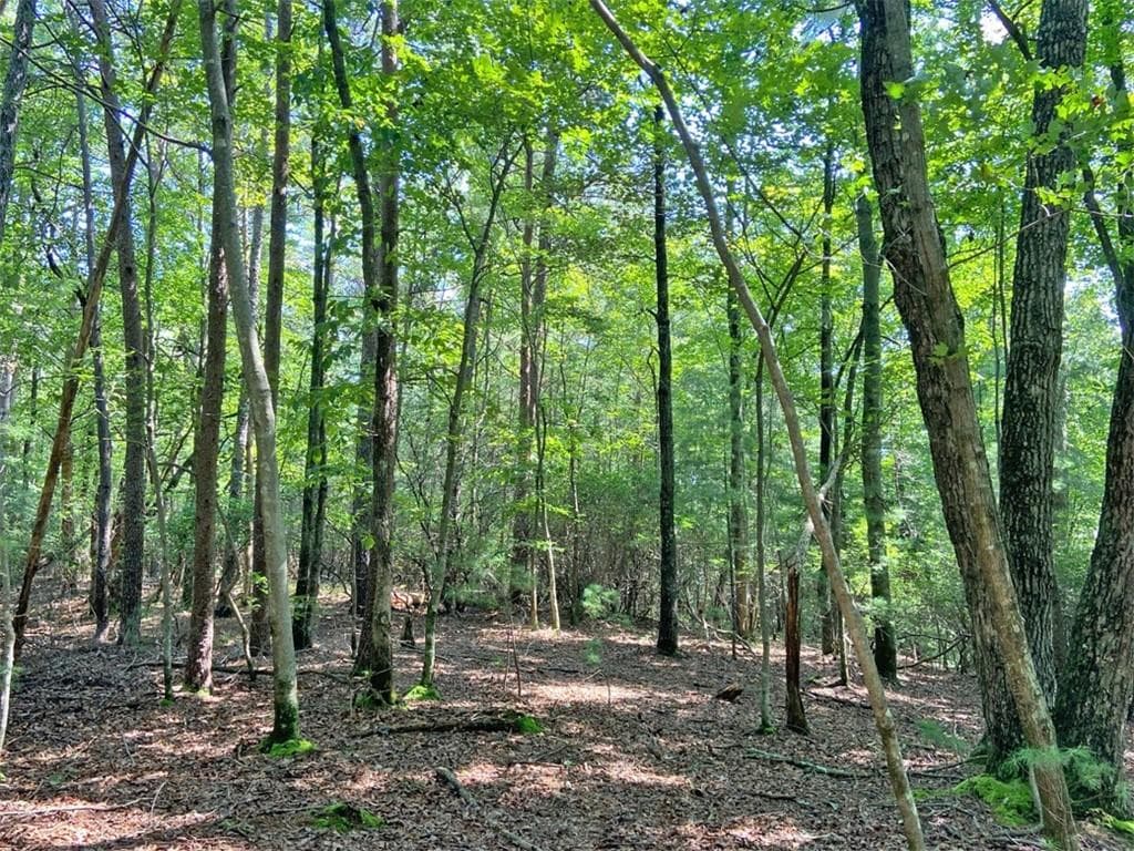 unimproved land for sale at 10.59 AC, T S Jarrard Road, Dahlonega, GA 30533 — photo 2