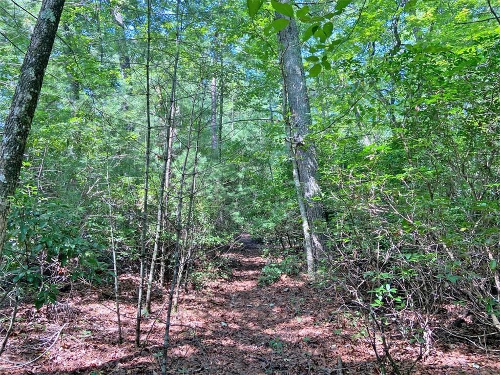 unimproved land for sale at 10.59 AC, T S Jarrard Road, Dahlonega, GA 30533 — photo 5