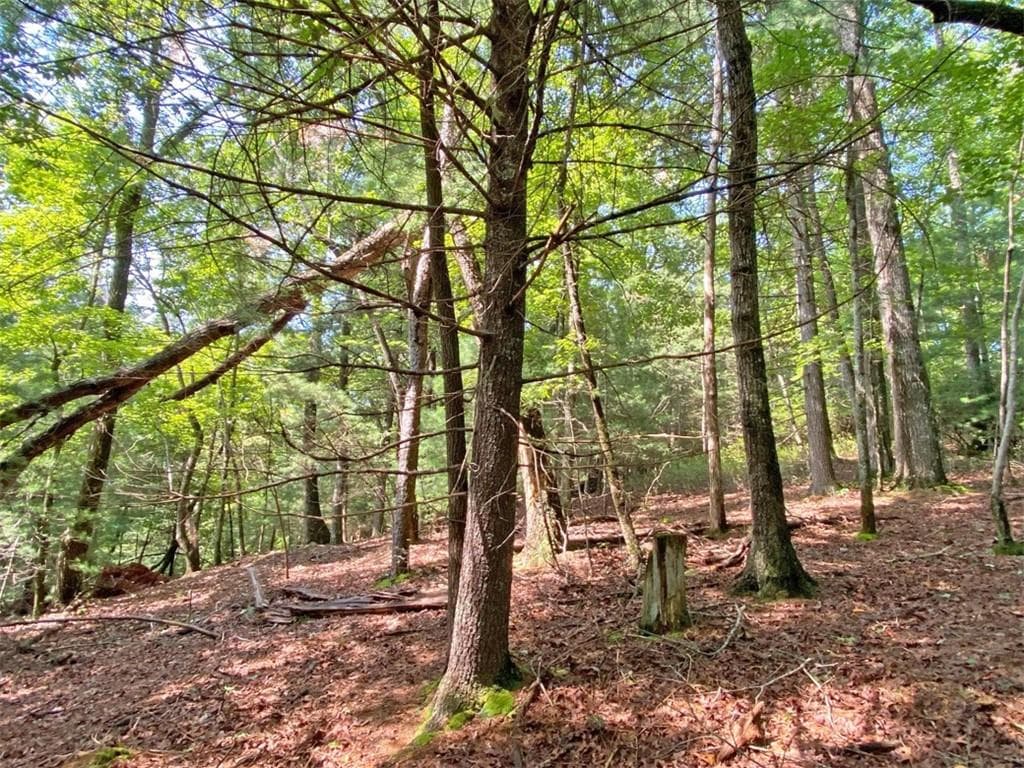 unimproved land for sale at 10.59 AC, T S Jarrard Road, Dahlonega, GA 30533 — photo 6