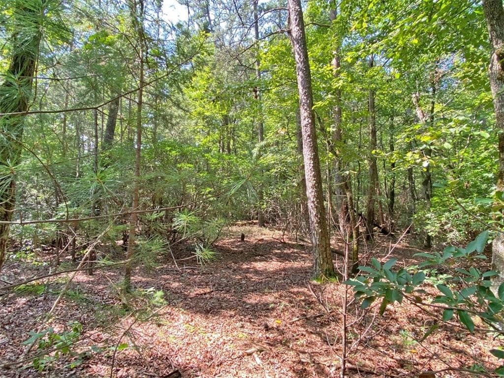 unimproved land for sale at 10.59 AC, T S Jarrard Road, Dahlonega, GA 30533 — photo 8
