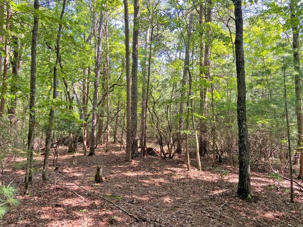 unimproved land for sale at 10.59 AC, T S Jarrard Road, Dahlonega, GA 30533 — photo 9