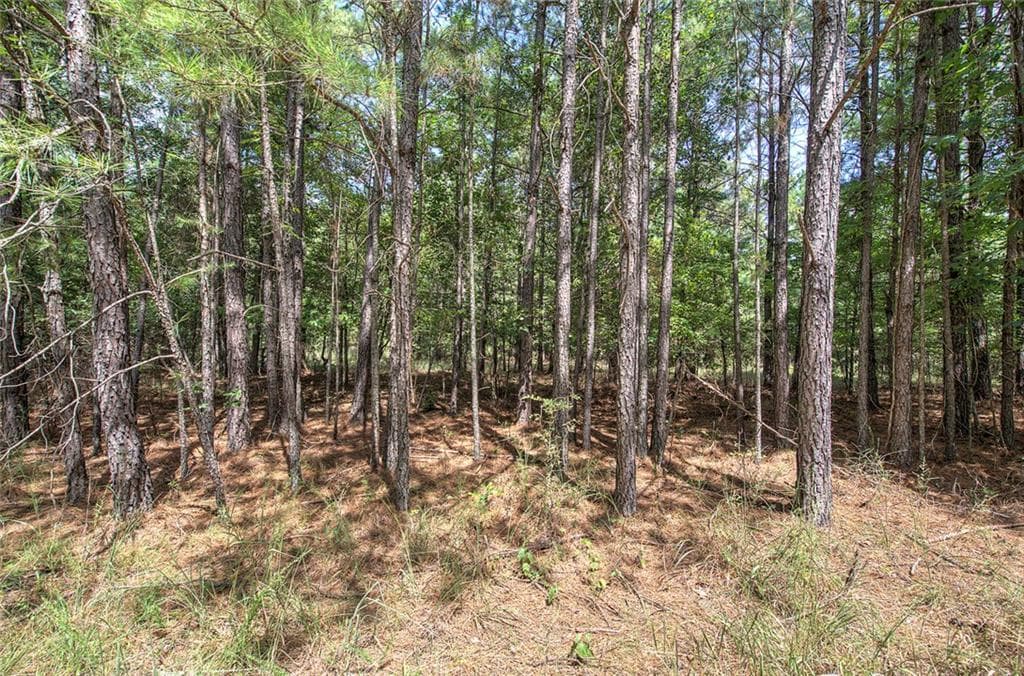 single family residence for sale at 1298 Radio Springs Road, Rome, GA 30165 — photo 10