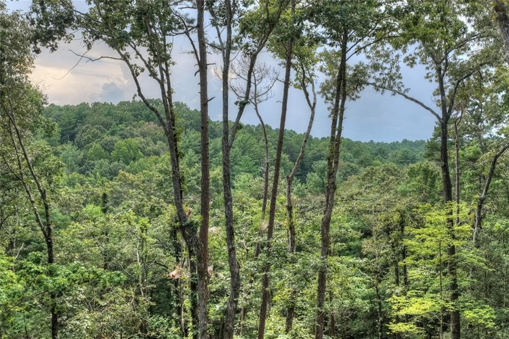 3 bedroom, 3 bathroom, 2,878 sq ft single family residence for sale at 394 Blackberry Circle, Ellijay, GA 30536 — photo 4
