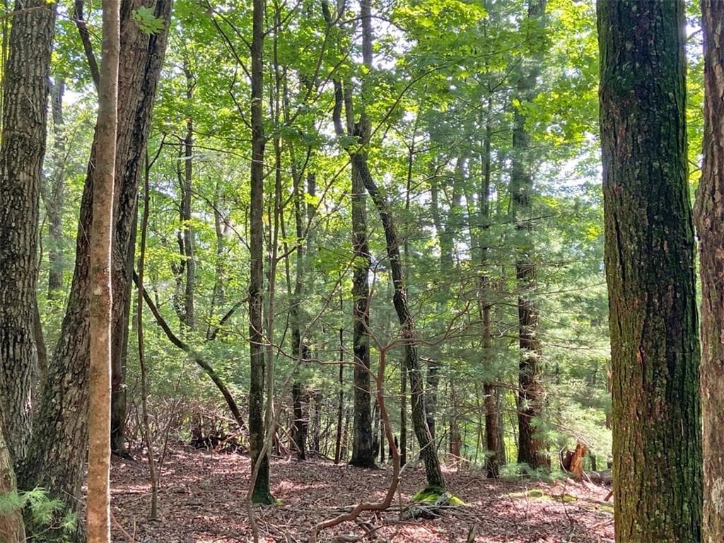 unimproved land for sale at 11AC T S Jarrard Road, Dahlonega, GA 30533