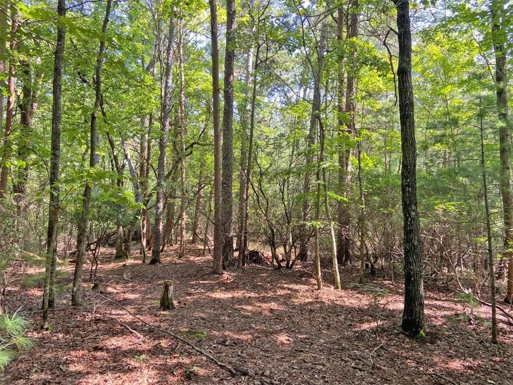unimproved land for sale at 11AC T S Jarrard Road, Dahlonega, GA 30533 — photo 3