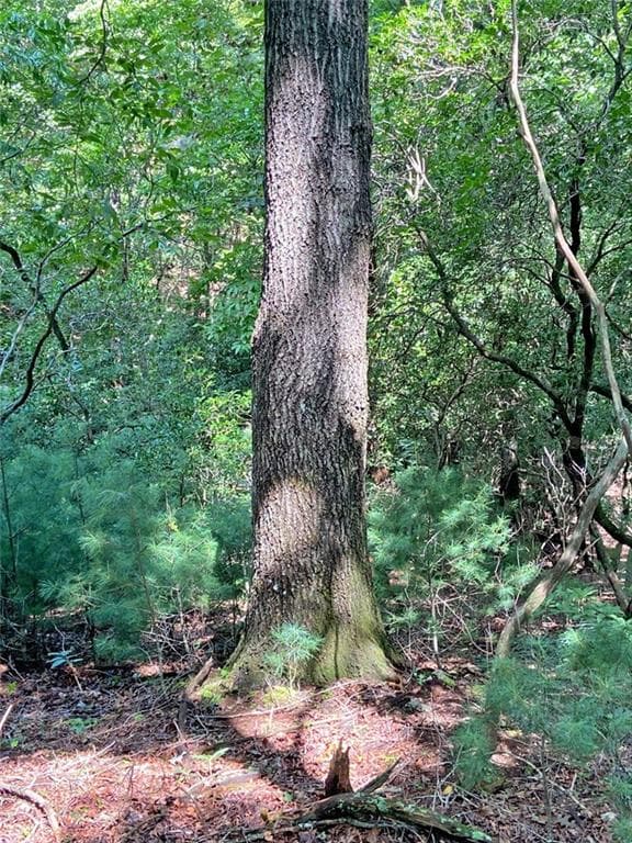unimproved land for sale at 11AC T S Jarrard Road, Dahlonega, GA 30533 — photo 5