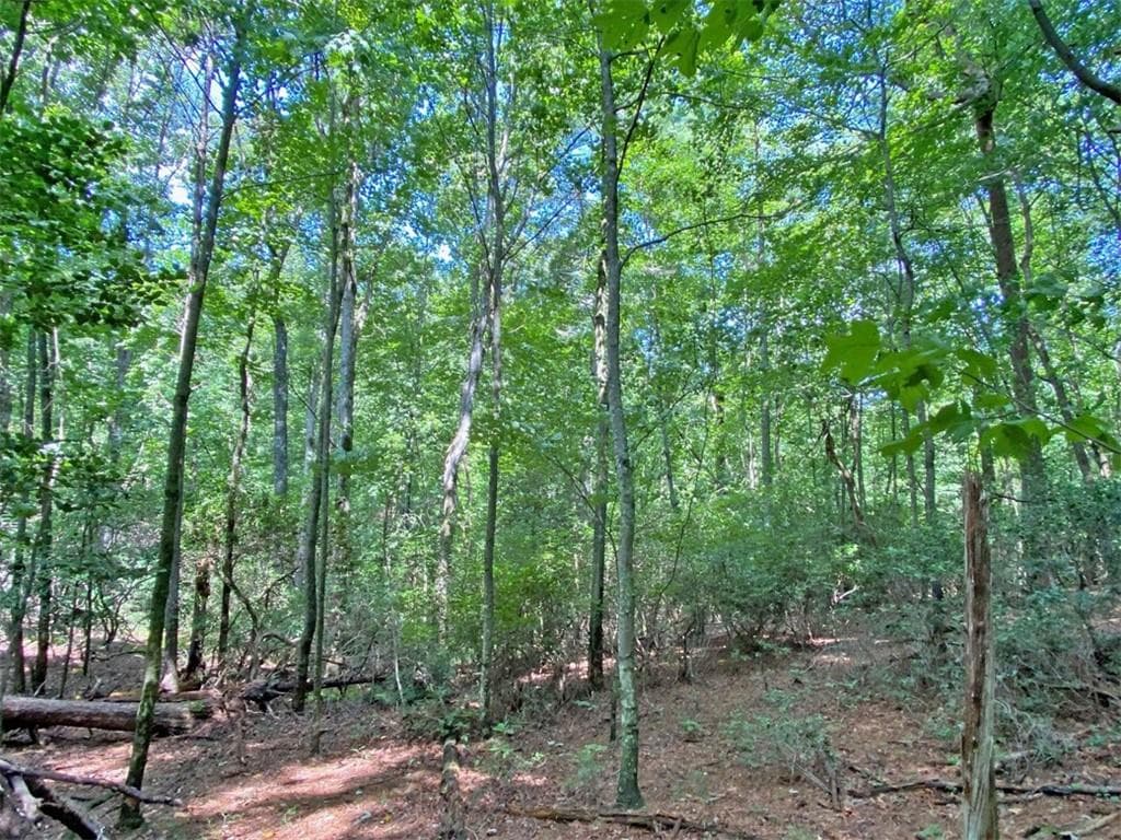 unimproved land for sale at 11AC T S Jarrard Road, Dahlonega, GA 30533 — photo 6
