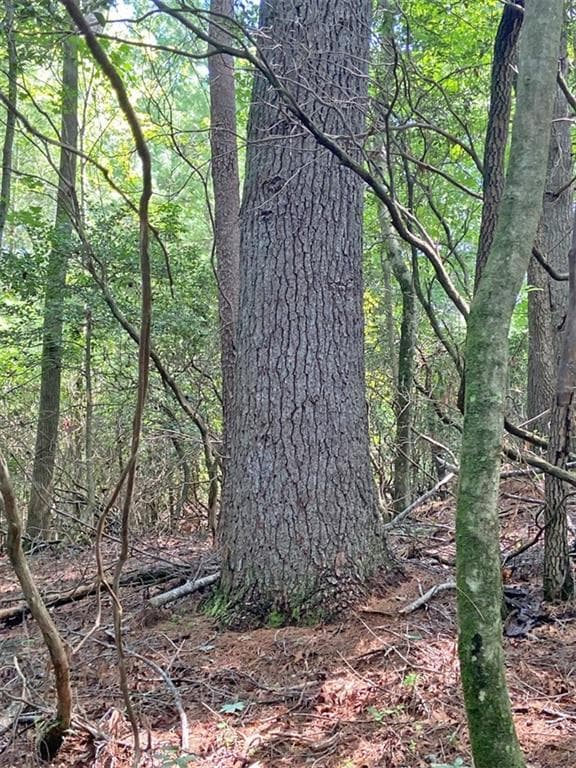 unimproved land for sale at 11AC T S Jarrard Road, Dahlonega, GA 30533 — photo 7