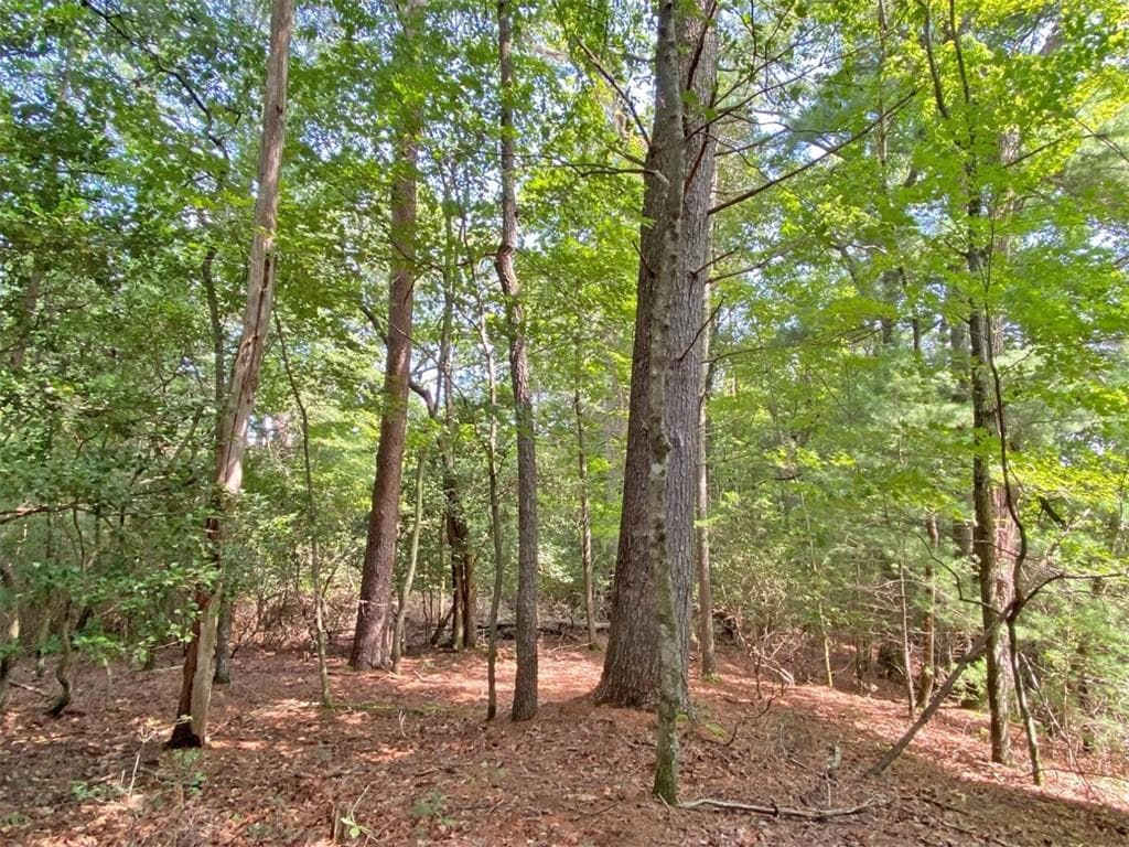 unimproved land for sale at 11AC T S Jarrard Road, Dahlonega, GA 30533 — photo 8