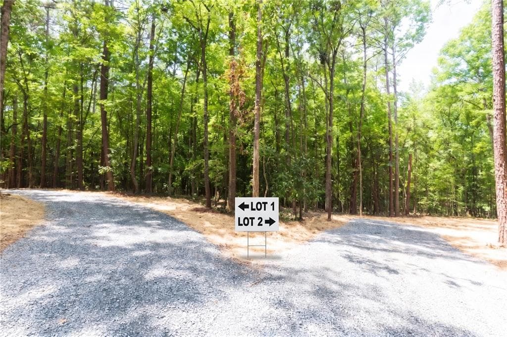 3 bedroom, 2 bathroom, 1,700 sq ft single family residence for sale at 0 Roosevelt Highway, Warm Springs, GA 31830 — photo 4