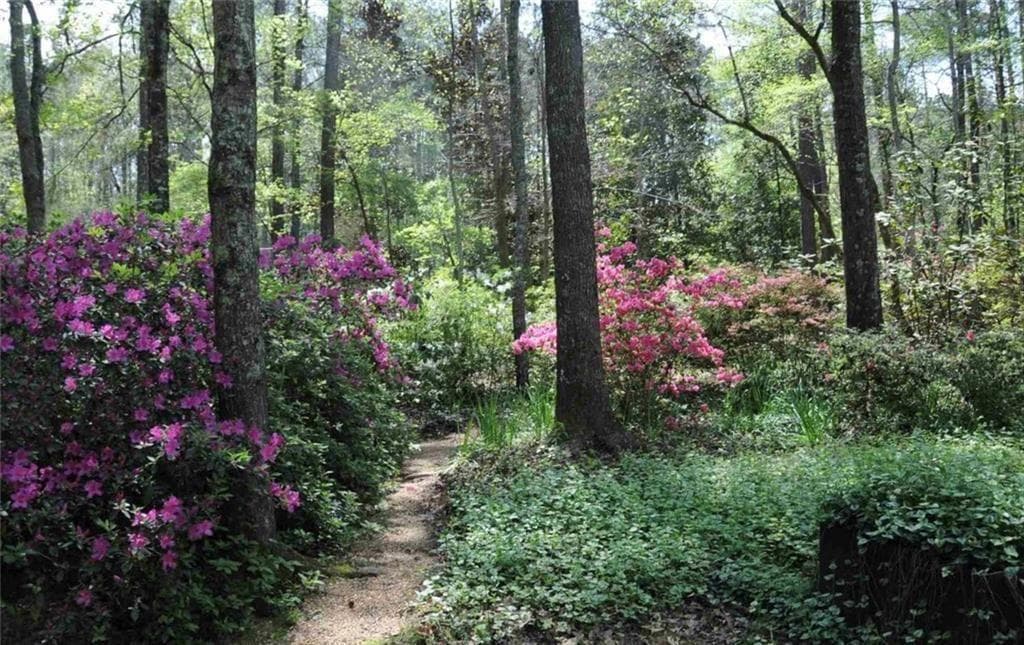 4 bedroom, 3 bathroom, 3,312 sq ft single family residence for sale at 385 Vaughn Road, Newnan, GA 30265 — photo 2