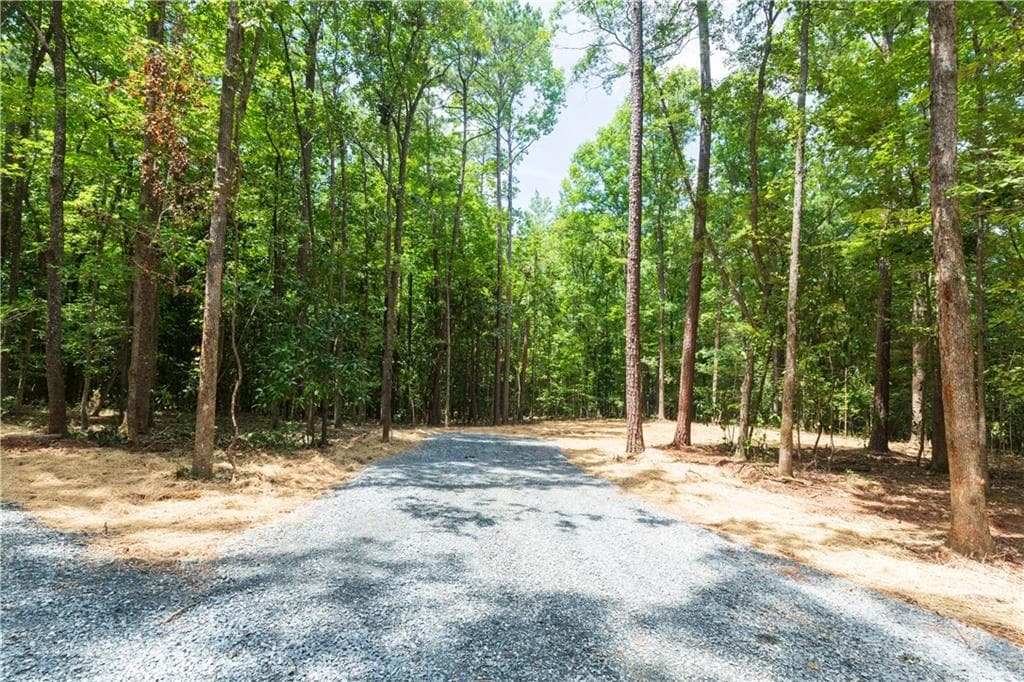 3 bedroom, 2 bathroom, 1,700 sq ft single family residence for sale at 0 Roosevelt Highway, Warm Springs, GA 31830 — photo 5