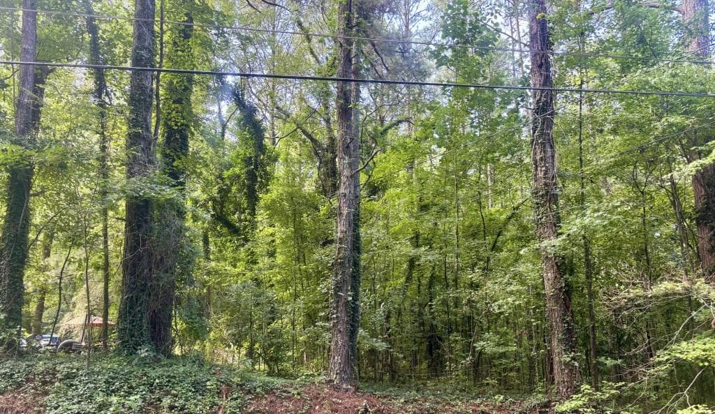 other for sale at 0 Church Street, South Fulton, GA 30272