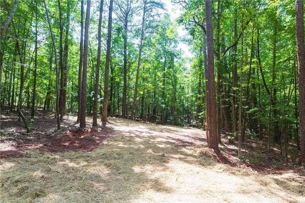 4 bedroom, 2 bathroom, 2,000 sq ft single family residence for sale at 0 Roosevelt HWY - LOT 1, Warm Springs, GA 31830 — photo 5