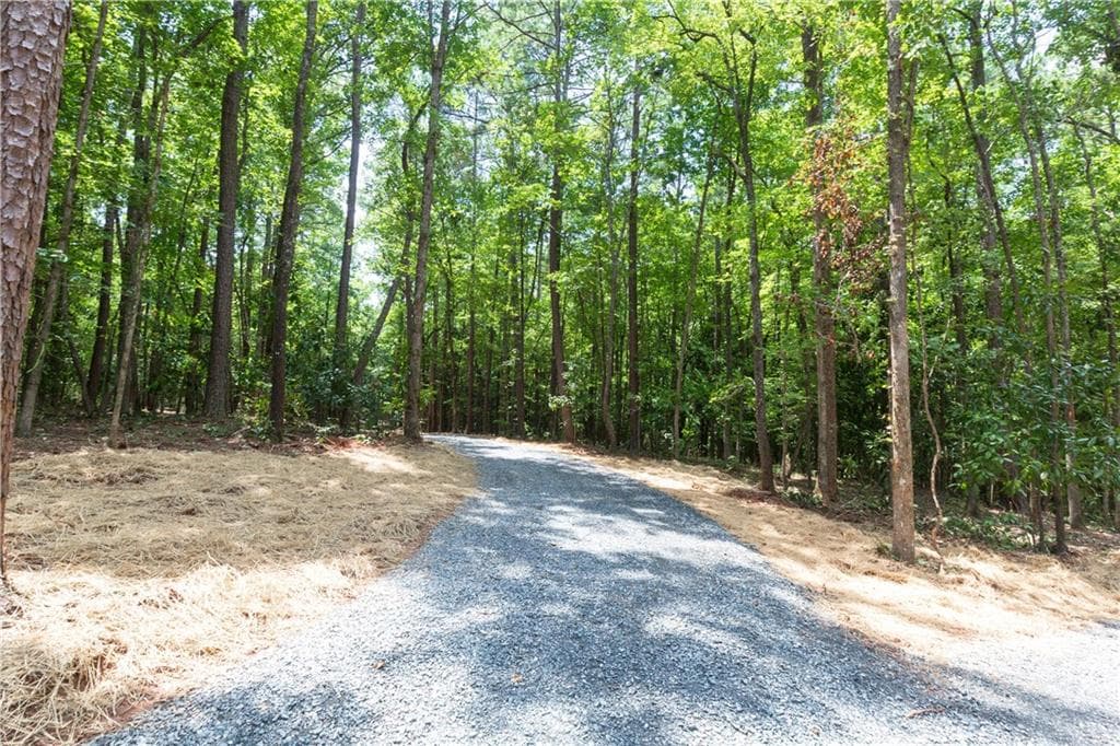 4 bedroom, 2 bathroom, 2,000 sq ft single family residence for sale at 0 Roosevelt HWY - LOT 1, Warm Springs, GA 31830 — photo 4
