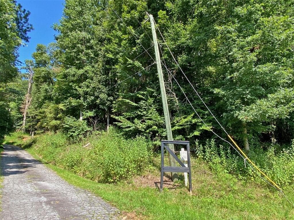 other for sale at 2AC South Chestatee Street, Dahlonega, GA 30533 — photo 3