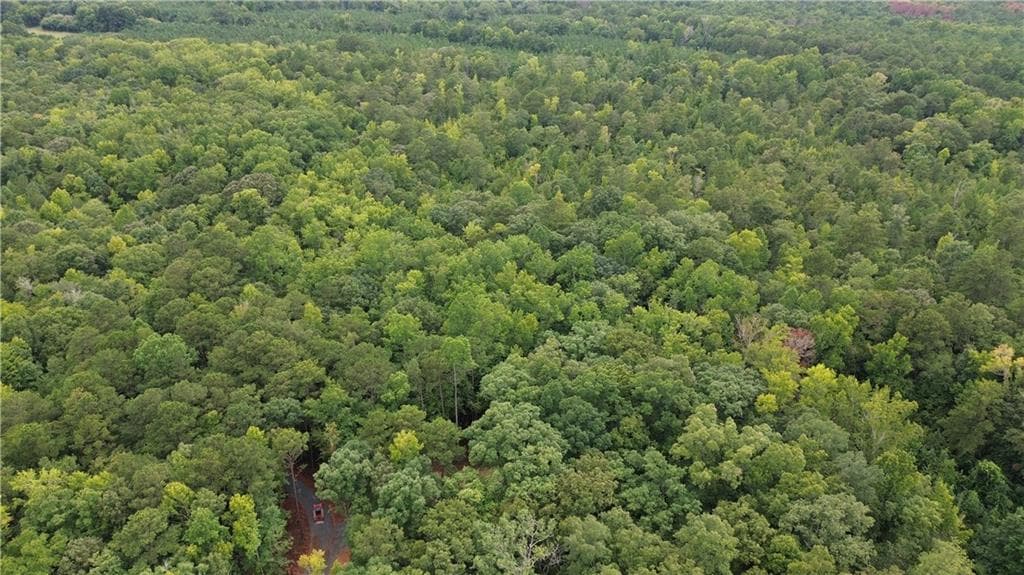 unimproved land for sale at 0 Roosevelt HWY - 20.58 Acres, Warm Springs, GA 31830