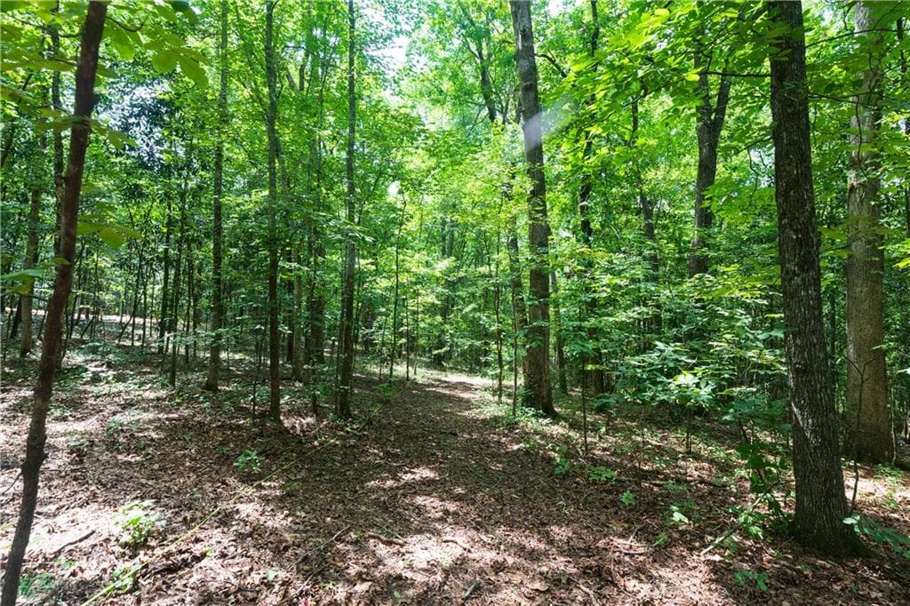 unimproved land for sale at 0 Roosevelt HWY - 20.58 Acres, Warm Springs, GA 31830 — photo 2