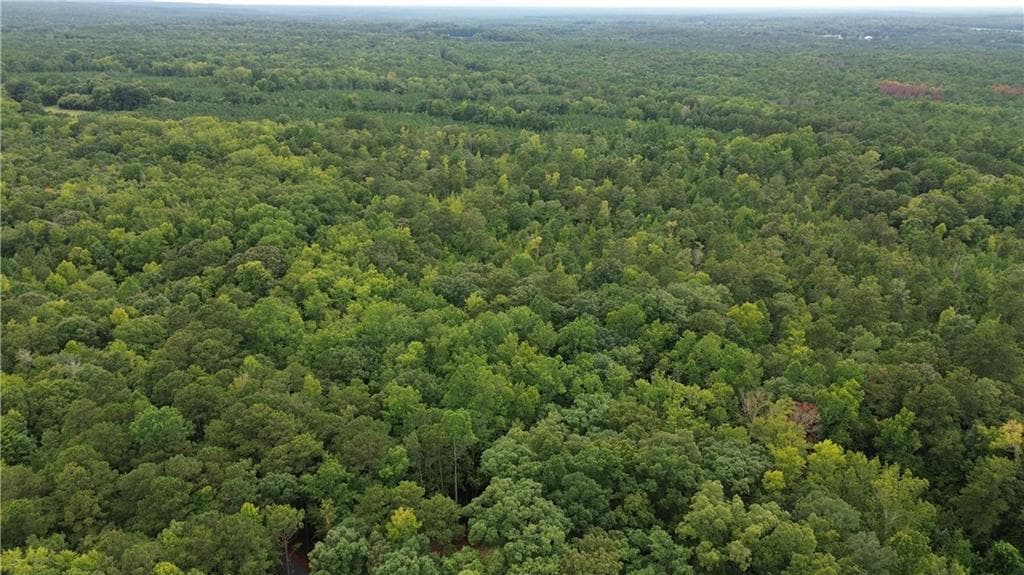 unimproved land for sale at 0 Roosevelt HWY - 20.58 Acres, Warm Springs, GA 31830 — photo 3