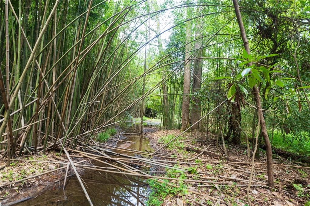 unimproved land for sale at 0 Roosevelt HWY - 20.58 Acres, Warm Springs, GA 31830 — photo 5